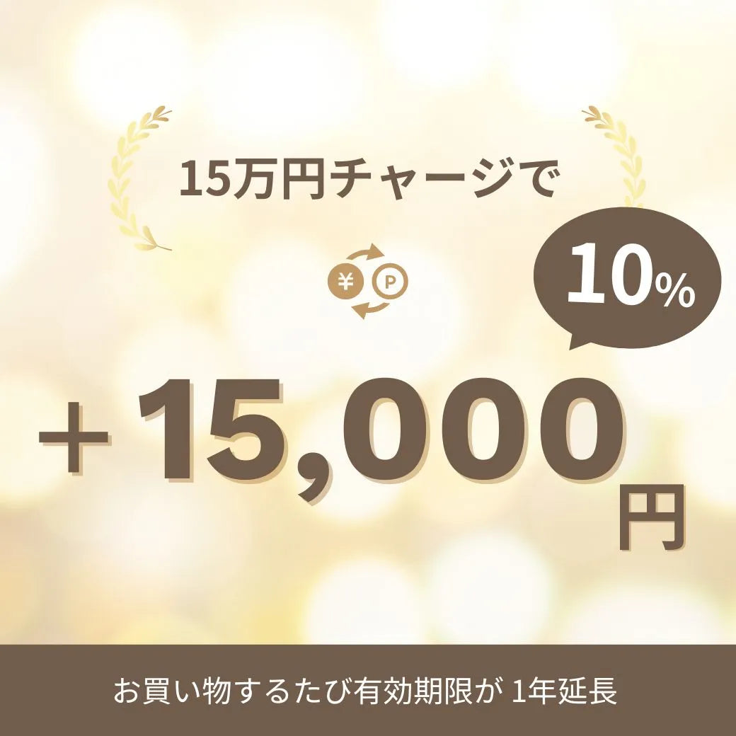 Point-Charge-10k.webp__PID:3e658087-ecd1-4c08-85fe-55b8d2e383c6