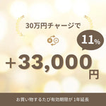 Point-Charge-30k.webp__PID:d93e4621-6450-4e98-9432-54ce99ba33d7