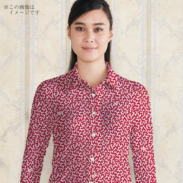 美しい衿で<br>「きちんと見え」