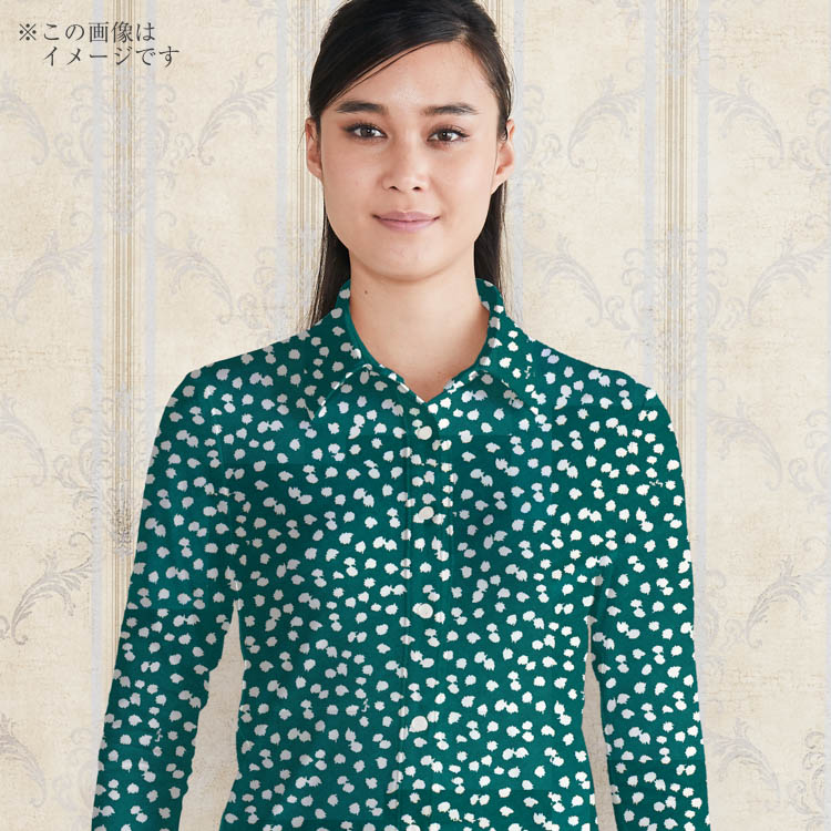 美しい衿で<br>「きちんと見え」