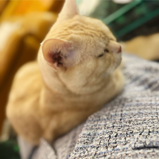 【代表毛見より】想いは、伝えてこそ届く。2025年を振り返ってみました。