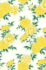 [Stretch Jersey] Mimorin Dress