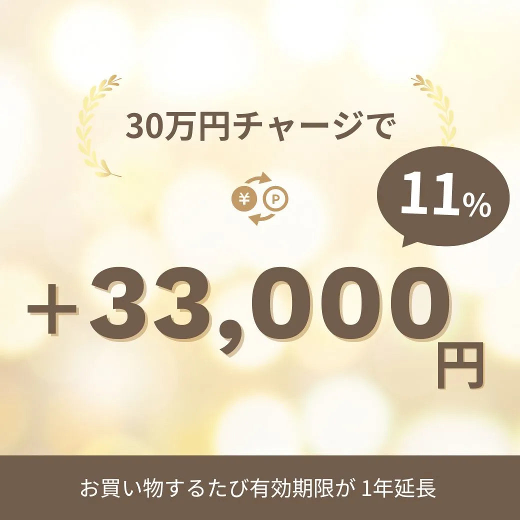 Point-Charge-30k.webp__PID:d93e4621-6450-4e98-9432-54ce99ba33d7